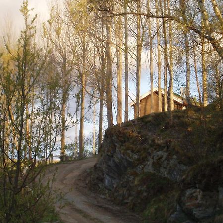 Ivaregga Vinterstua Tolga エクステリア 写真